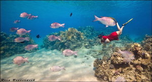 A sunny afternoon at the reef. CANON 40D with Sigma 10-20... by Rico Besserdich 